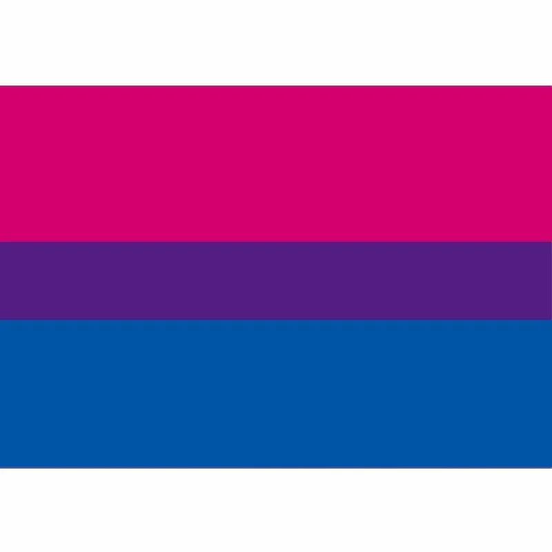 90*150cm Rainbow Flags 3x5FT Pride Flag Banner Polyester Colorful Rainbow for Decoration Hot sale
90*150cm Rainbow Flags 3x5FT Pride Flag Banner Polyester Colorful Rainbow for Decoration Hot sale