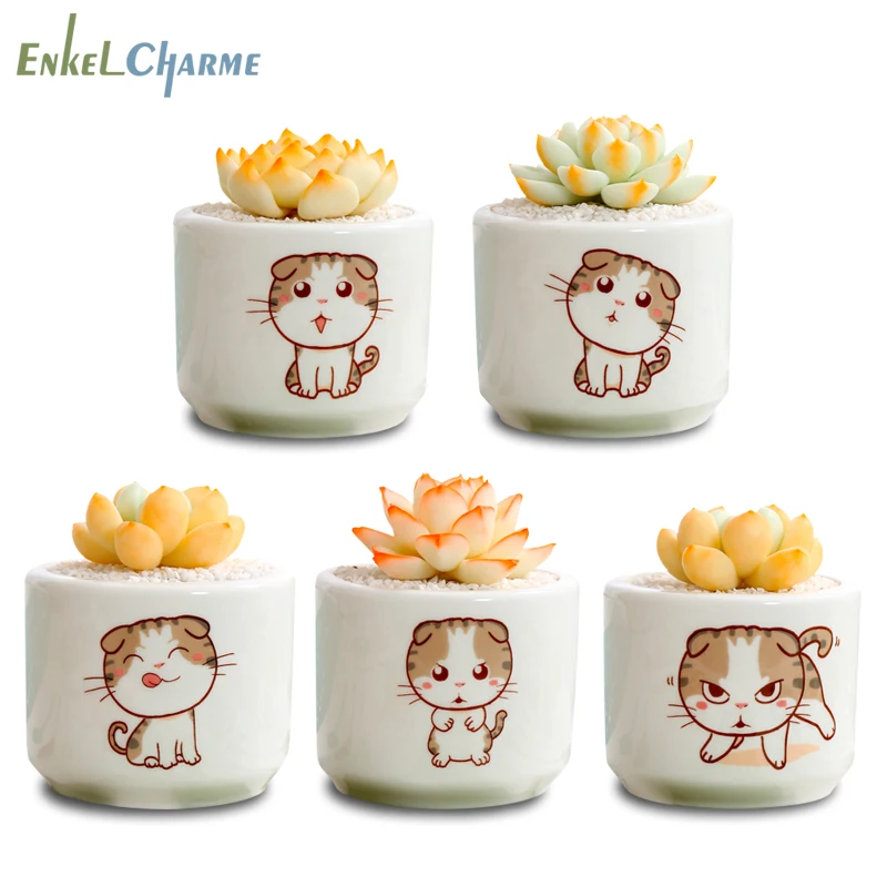Mini Cactus Succulent Ceramic Circular Cat Flower Pots For Flowers Cute White Flowerpot Garden Desktop Cartoon Lovely Decorative
Mini Cactus Succulent Ceramic Circular Cat Flower Pots For Flowers Cute White Flowerpot Garden Desktop Cartoon Lovely Decorative