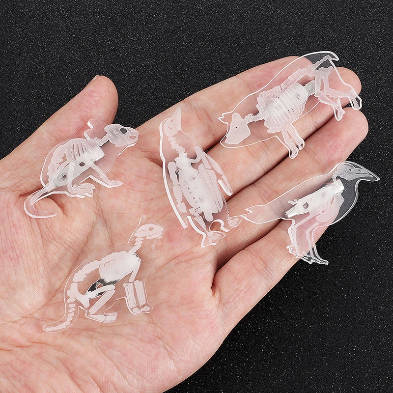 Creative Skeleton brooch transparent acrylic penguin pig rabbit bird cat rib animal enamel pin white transparent badge Halloween
Creative Skeleton brooch transparent acrylic penguin pig rabbit bird cat rib animal enamel pin white transparent badge Halloween