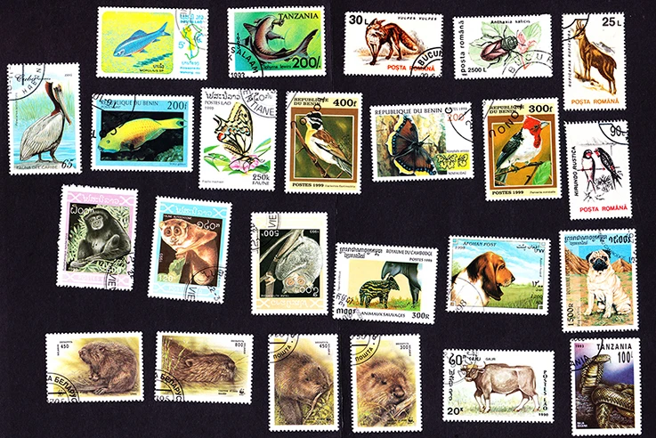 imemo 50Pcs/Lot Animals All Different From Many Countries NO Repeat Unused Postage Stamps for Collecting
imemo 50Pcs/Lot Animals All Different From Many Countries NO Repeat Unused Postage Stamps for Collecting