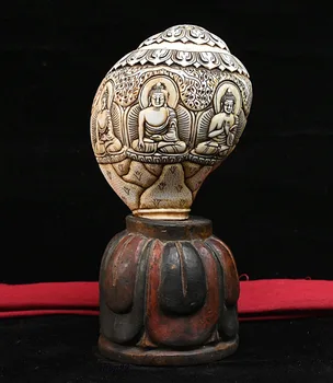 Christmas Old Tibet Buddhism Sakyamuni Shakyamuni Buddha statue Conch Shell Trumpet Horn Halloween
Christmas Old Tibet Buddhism Sakyamuni Shakyamuni Buddha statue Conch Shell Trumpet Horn Halloween