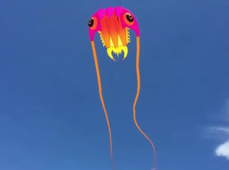 Trilobite beach soft cometas chinas cerf volant single line kites flying vlieger large inflatable kites ripstop nylon aquiloni
Trilobite beach soft cometas chinas cerf volant single line kites flying vlieger large inflatable kites ripstop nylon aquiloni