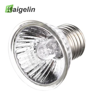 E27 UVB Turtle Sunburn Lights UVB Light Bulbs For Reptiles Heating Lamp Full Spectrum Sunlamp 25W 50W 75W 220V
E27 UVB Turtle Sunburn Lights UVB Light Bulbs For Reptiles Heating Lamp Full Spectrum Sunlamp 25W 50W 75W 220V