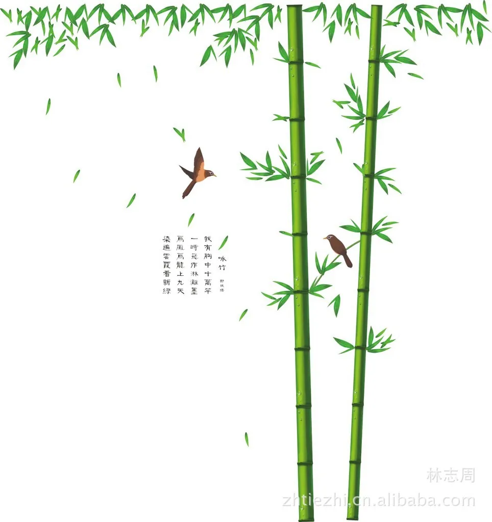 Large China Bamboo Wall Stickers Decals Green Tree Plants Vinyl Wallpeper Murals Removable Adult Home Livingroom Bedroom Decor
Large China Bamboo Wall Stickers Decals Green Tree Plants Vinyl Wallpeper Murals Removable Adult Home Livingroom Bedroom Decor