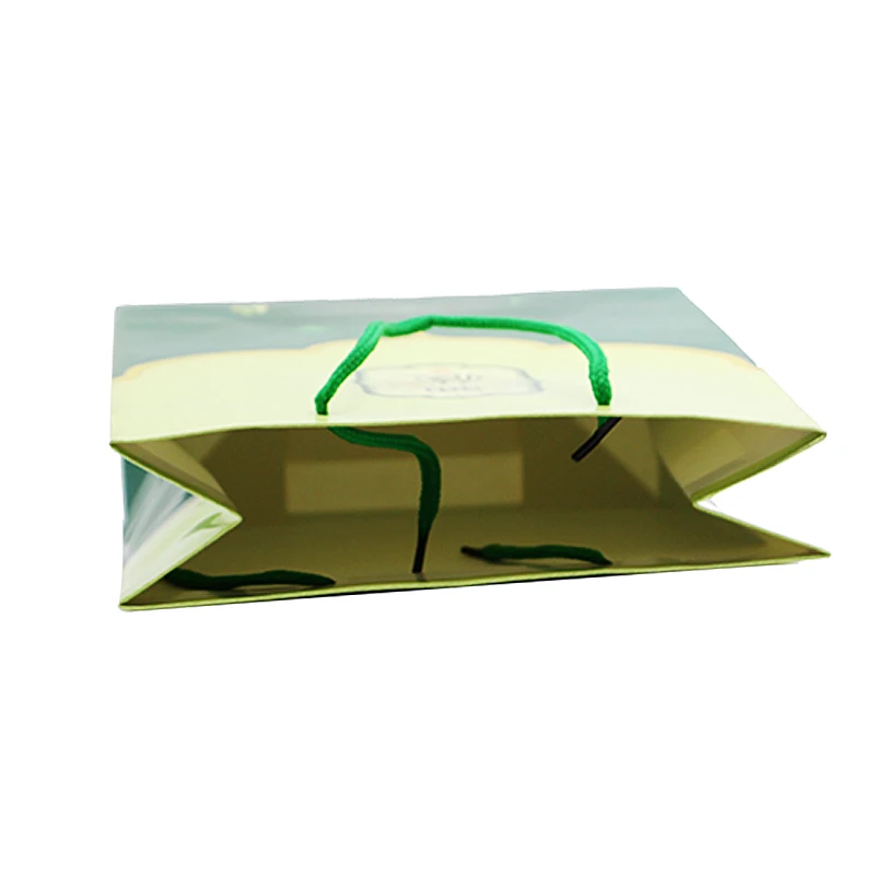 paper bag (8)