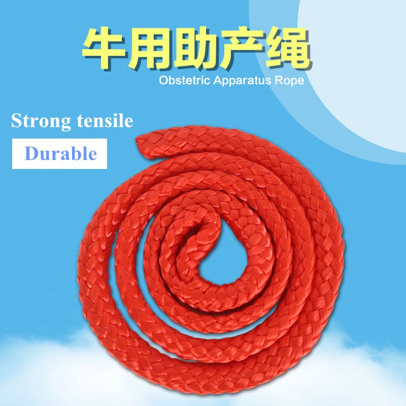 Cow Obstetric Apparatus Rope, Nylon String for Cow Delivery Instruments Use for Dairy Farm
Cow Obstetric Apparatus Rope, Nylon String for Cow Delivery Instruments Use for Dairy Farm