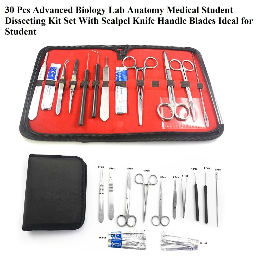 30Pcs Advanced Dissection Kit For Anatomy Biology Nurse Student Kit With Scalpel Knife Handle -20 Blades - Case-Lab Veter
30Pcs Advanced Dissection Kit For Anatomy Biology Nurse Student Kit With Scalpel Knife Handle -20 Blades - Case-Lab Veter