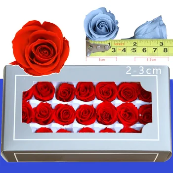 Diy Preserved Flowers 21pcs/box 2-3cm Flowers Wholesale Immortal Rose Material Artificial Plants Home Wedding Decor
Diy Preserved Flowers 21pcs/box 2-3cm Flowers Wholesale Immortal Rose Material Artificial Plants Home Wedding Decor