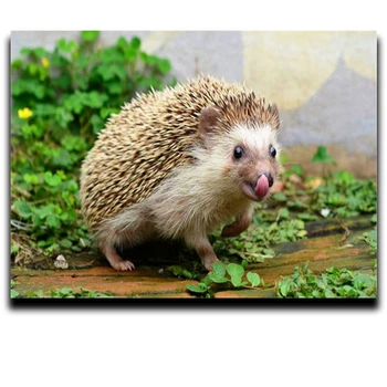 DIY painting Diamond cross stitch Embroidery kit Full 3d square mosaic Strass Photos Hedgehog
DIY painting Diamond cross stitch Embroidery kit Full 3d square mosaic Strass Photos Hedgehog
