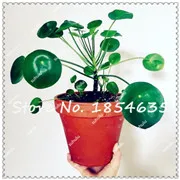 29_