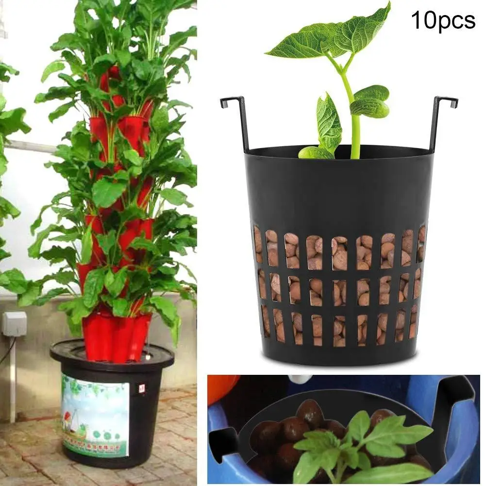10Pcs Mesh Pot Net Cup Basket Hydroponic System Garden Plant Grow Vegetable Cloning Foam Insert Seed Germinate Nursery Pots
10Pcs Mesh Pot Net Cup Basket Hydroponic System Garden Plant Grow Vegetable Cloning Foam Insert Seed Germinate Nursery Pots
