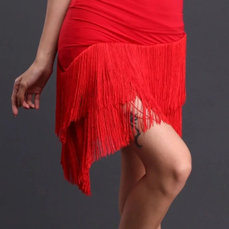 Fringe Latin Salsa Tango Rumba Cha Cha Ballroom Dance Dress Skirt Square Dance Red Black Latin Clothes Women Latin Dance Dress4
Fringe Latin Salsa Tango Rumba Cha Cha Ballroom Dance Dress Skirt Square Dance Red Black Latin Clothes Women Latin Dance Dress4