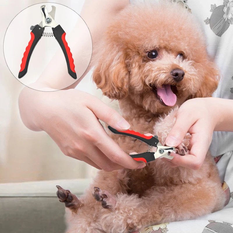 Pet Dog Nail Clippers Trimmer Puppy Cat Nail Clipper Pet Grooming Dog Claw Cutter Trimmer For Animals Dog Cat Supply 10
Pet Dog Nail Clippers Trimmer Puppy Cat Nail Clipper Pet Grooming Dog Claw Cutter Trimmer For Animals Dog Cat Supply 10