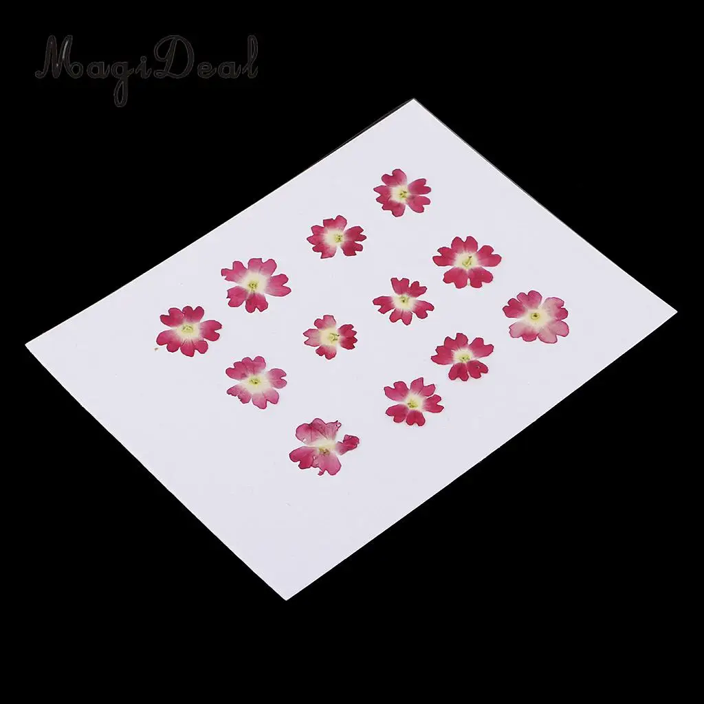 22pcs Mini Natural Dried Flowers Verbena Forget-me-not Embellishment for DIY Pendants Charms Nail Art Decoration