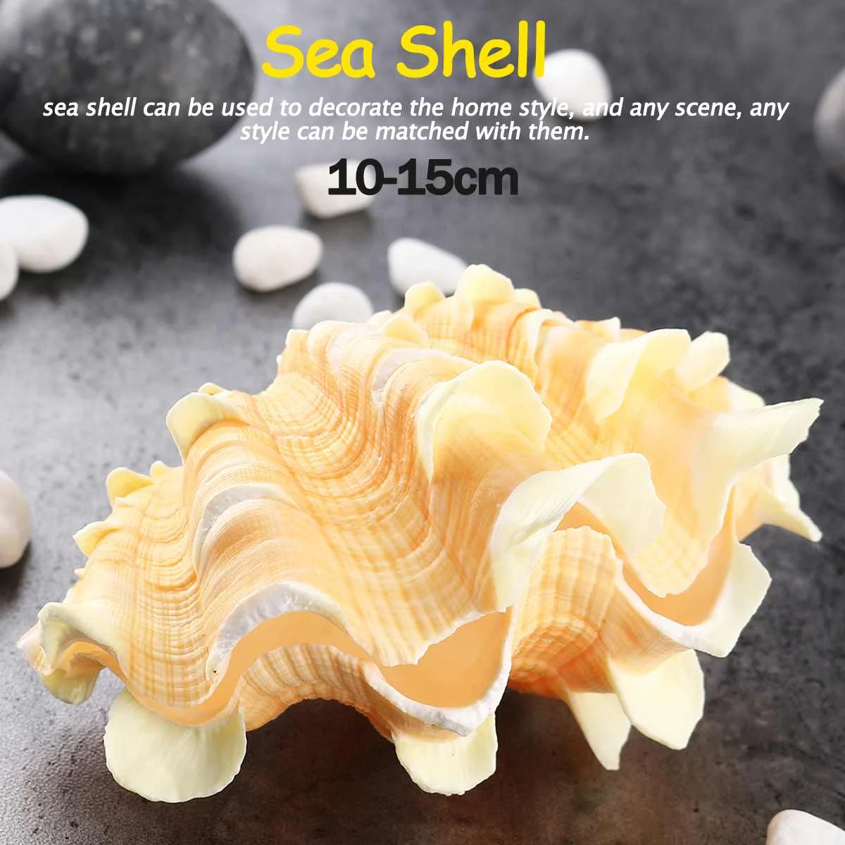 10-15cm Home Furnishing Marine Sea Decoration Big Conch Shell Natural Ornaments Wedding/Festival/Party Decor Gift Home Decor
10-15cm Home Furnishing Marine Sea Decoration Big Conch Shell Natural Ornaments Wedding/Festival/Party Decor Gift Home Decor