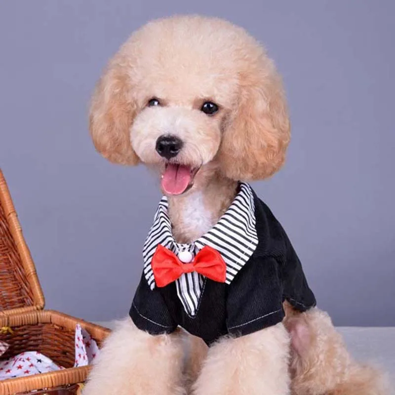 Roupa Para CachorroPet Dog Clothes Western Style Men's Suit Bow Tie Puppy Costume Pet Roupas Para Cachorro D1
Roupa Para CachorroPet Dog Clothes Western Style Men's Suit Bow Tie Puppy Costume Pet Roupas Para Cachorro D1