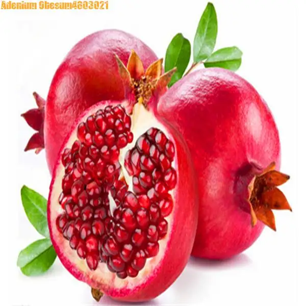 20 pcs multi-seed red pomegranate bonsai very sweet fruit plant family outdoor beauty beauty fruit pomegranate free shipping
20 pcs multi-seed red pomegranate bonsai very sweet fruit plant family outdoor beauty beauty fruit pomegranate free shipping