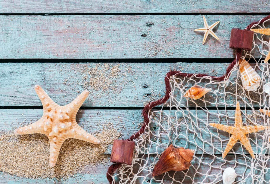 Laeacco Wooden Board Starfish Shells Sands Net Baby Photography Background Customized Photographic Backdrops For Photo Studio
Laeacco Wooden Board Starfish Shells Sands Net Baby Photography Background Customized Photographic Backdrops For Photo Studio
