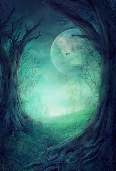 HUAYI Background Art Fabric Newborn Backdrop children Photography Props photo background night forest XT-4312
HUAYI Background Art Fabric Newborn Backdrop children Photography Props photo background night forest XT-4312