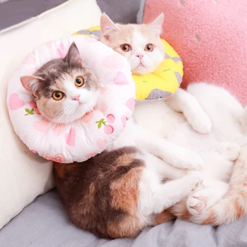 Cat's soft cloth, Elizabeth's ring, dog's disgrace collar, Elissa's white collar, sterilisation products cats products for pets
Cat's soft cloth, Elizabeth's ring, dog's disgrace collar, Elissa's white collar, sterilisation products cats products for pets