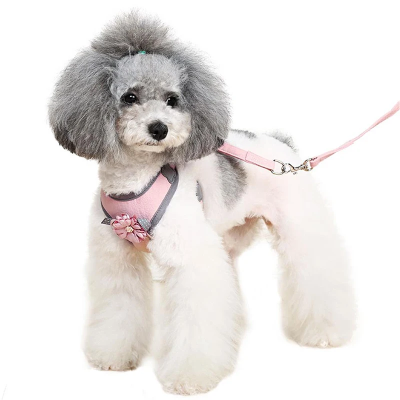 JORMEL Dog Harness Pet Dog Training Vest for Small Medium Large Dogs Adjustable Safety Professional Harness Chest Strap
JORMEL Dog Harness Pet Dog Training Vest for Small Medium Large Dogs Adjustable Safety Professional Harness Chest Strap