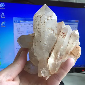 Healing High Quality Natural Quartz Crystal Rough Stone and Minerals Celar Crystal Cluster Specimen Home Decoration Ornaments
Healing High Quality Natural Quartz Crystal Rough Stone and Minerals Celar Crystal Cluster Specimen Home Decoration Ornaments