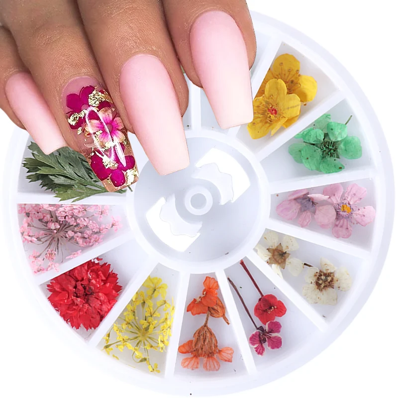 1 Wheel Dried Flowers Nail Art Decoration 3D Natural Artificial Leaf Floral Charms Necklace Jewelry DIY Accessories Tips JIF10
1 Wheel Dried Flowers Nail Art Decoration 3D Natural Artificial Leaf Floral Charms Necklace Jewelry DIY Accessories Tips JIF10