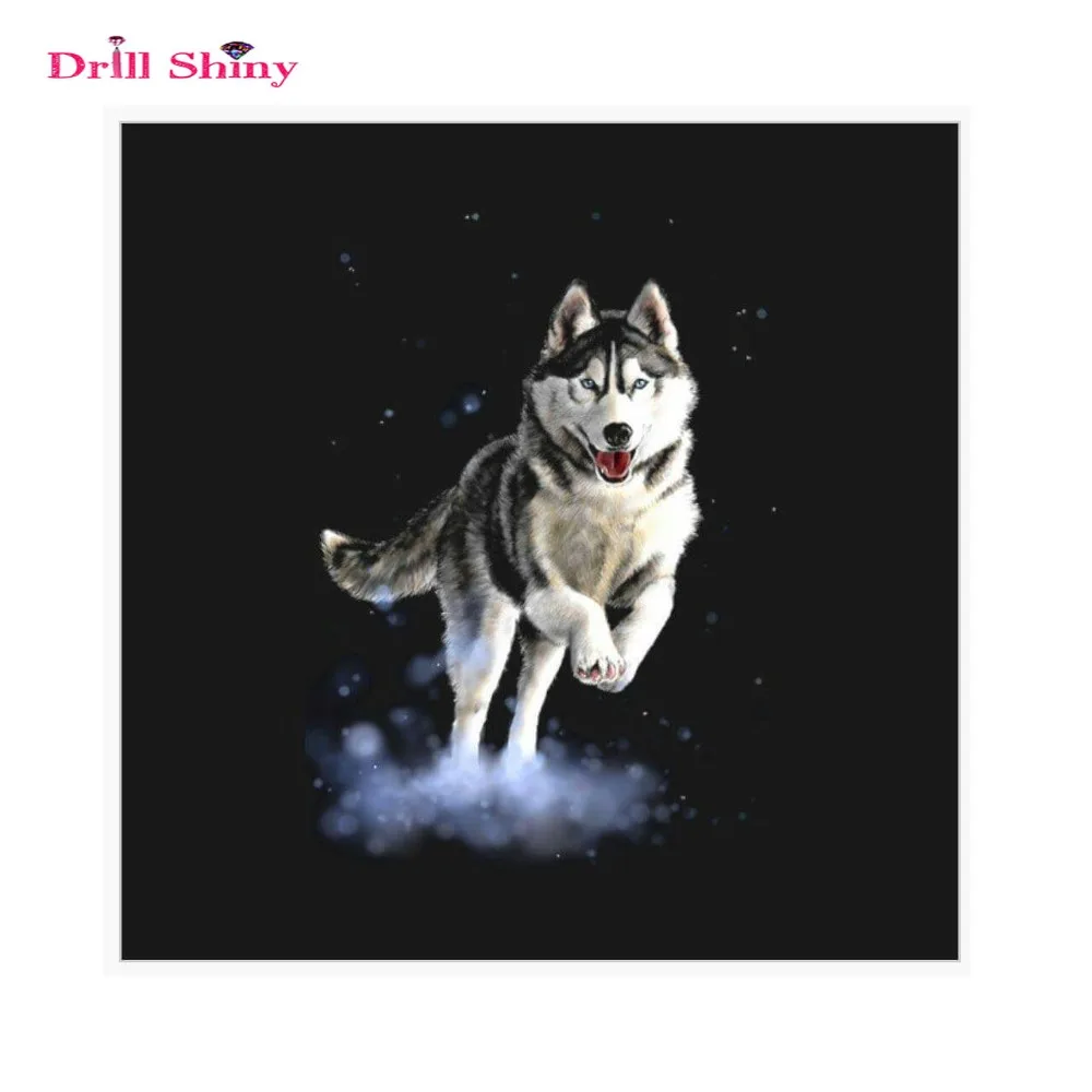 NEW Arrival diy diamond wolf photo embroidery diamond cross stitch full Square mosaic rhinestone embroidery
NEW Arrival diy diamond wolf photo embroidery diamond cross stitch full Square mosaic rhinestone embroidery