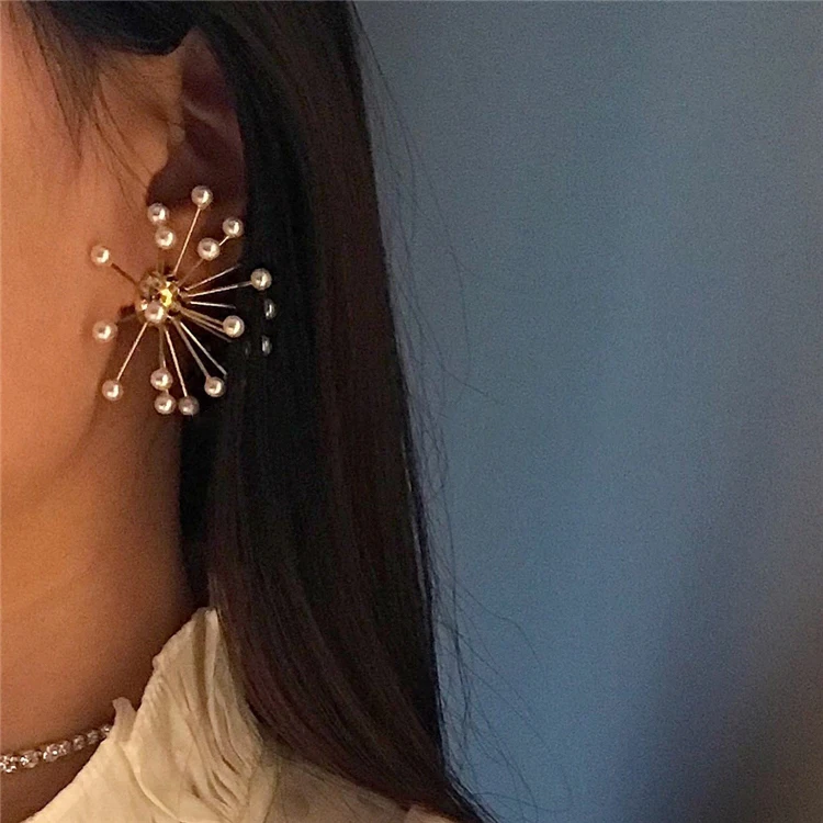 EAM Jewelry / 2019 New Fashion TFirework Pearls Temperament Personality Exaggeration Stud Earrings Women's Accessories S#R65508
EAM Jewelry / 2019 New Fashion TFirework Pearls Temperament Personality Exaggeration Stud Earrings Women's Accessories S#R65508