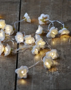 Snow White Rose Flower Fairy string warm white LED Lights, bedroom decoration, wedding centerpiece, girl birthday gift vintage
Snow White Rose Flower Fairy string warm white LED Lights, bedroom decoration, wedding centerpiece, girl birthday gift vintage