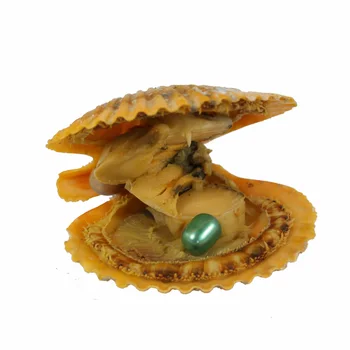 Wholesale 20pcs Rice Akoya 7-8mm Green pearl with oyster vacuum-packed , popular oysters gifts Free Shipping RO028
Wholesale 20pcs Rice Akoya 7-8mm Green pearl with oyster vacuum-packed , popular oysters gifts Free Shipping RO028