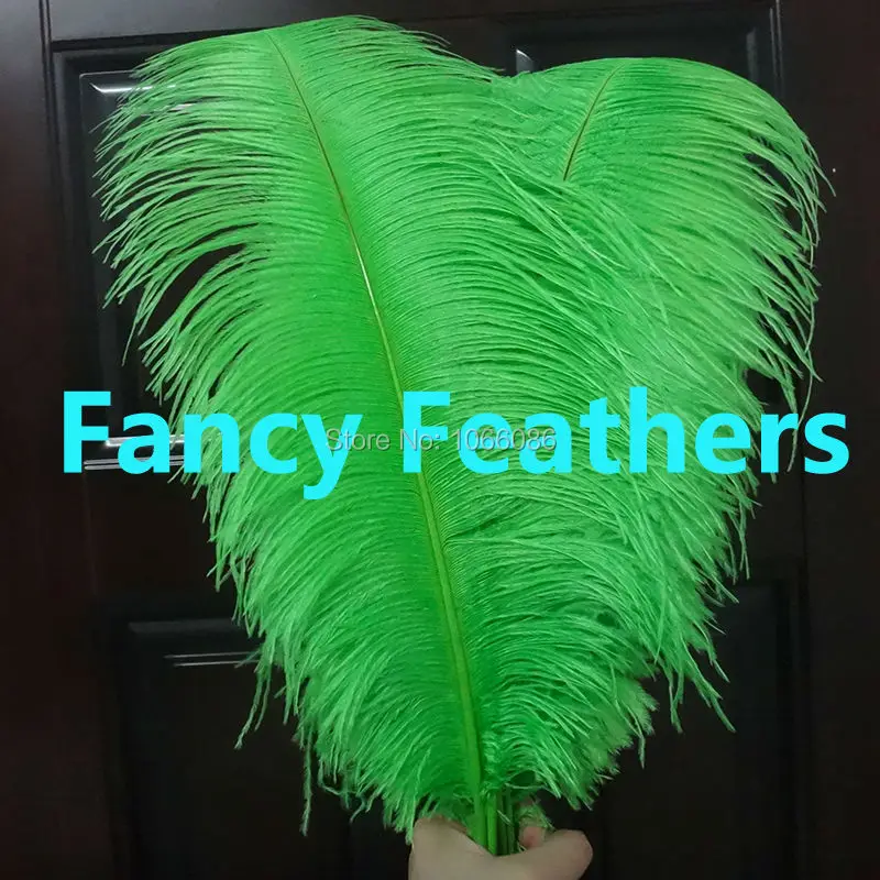 EMS Free Shipping 50pcs/lot 55-60cm 22-24 inches Top quality Green ostrich feathers ostrich plumages plumes
EMS Free Shipping 50pcs/lot 55-60cm 22-24 inches Top quality Green ostrich feathers ostrich plumages plumes