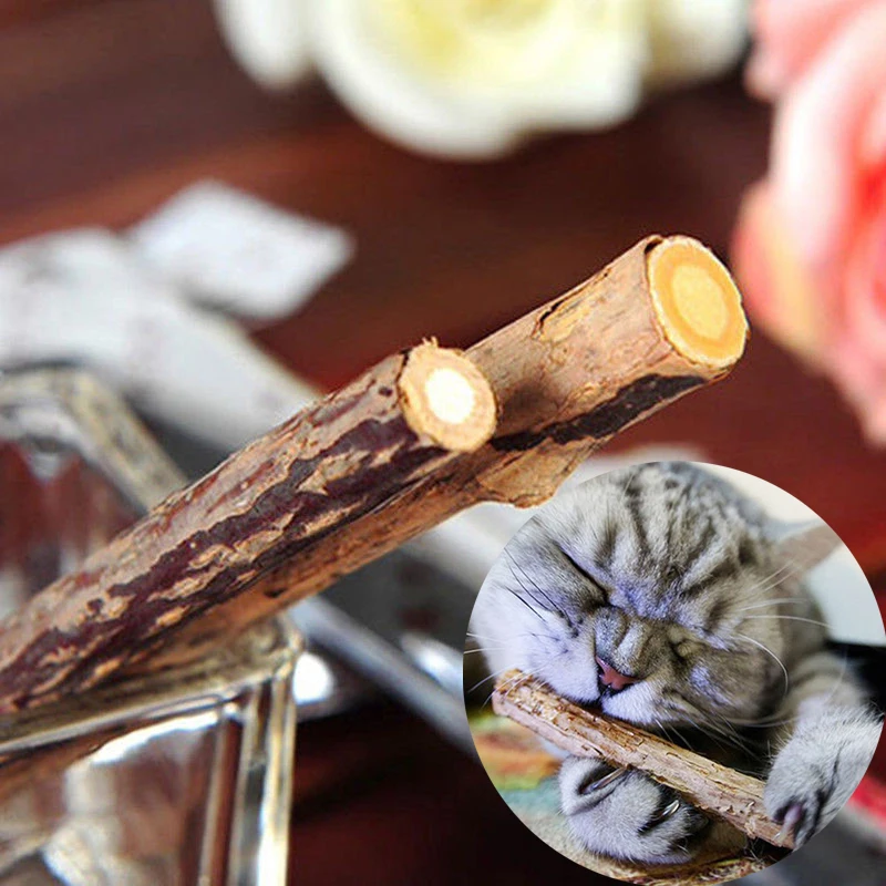 High Quality 1 Bag 5 Pcs Pet Cat Chew Toothpaste Stick Treat Toy Molar Cleaning Teeth Mint Snacks Natural Health
High Quality 1 Bag 5 Pcs Pet Cat Chew Toothpaste Stick Treat Toy Molar Cleaning Teeth Mint Snacks Natural Health