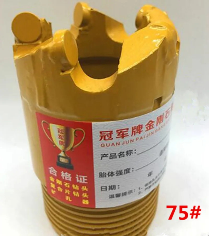 Coreless Drill Bit Well Drilling PDC Drag Bit for Mining Drilling Bit Geological Exploration Coal Mining
Coreless Drill Bit Well Drilling PDC Drag Bit for Mining Drilling Bit Geological Exploration Coal Mining