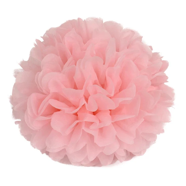 14 inch (35 cm) Tissue Paper POMPOMS Flower Balls Home Decor Festive & Party Supplies Wedding Favors light pink
14 inch (35 cm) Tissue Paper POMPOMS Flower Balls Home Decor Festive & Party Supplies Wedding Favors light pink