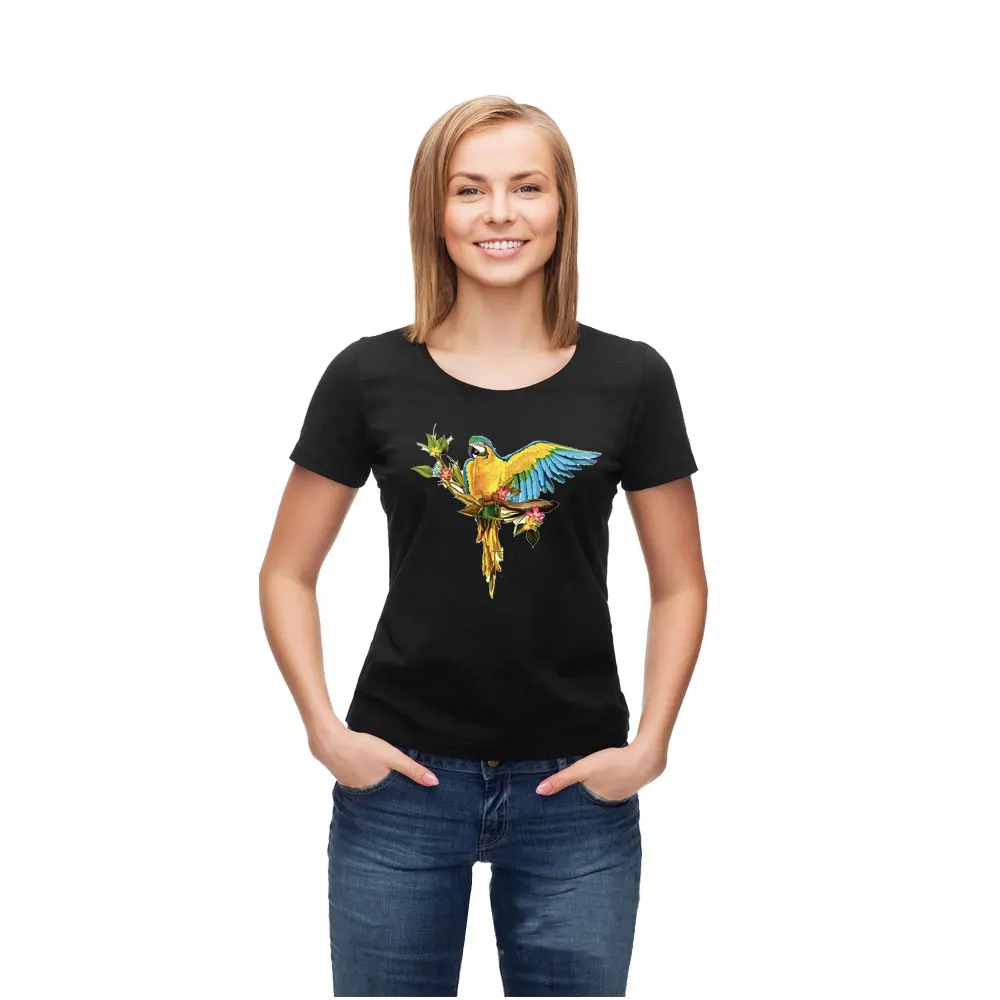 PA-176-BIRDS_02