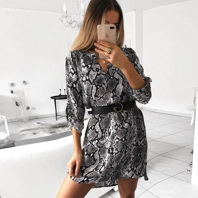 Sexy V Neck Serpentine Leopard Print Loose Casual Dress Women Spring Autumn Long Sleeve Beach Mini Womens Dresses Vestido
Sexy V Neck Serpentine Leopard Print Loose Casual Dress Women Spring Autumn Long Sleeve Beach Mini Womens Dresses Vestido