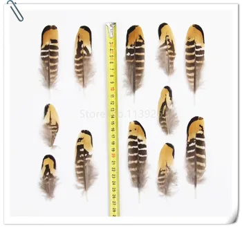 Wholesale 100pcs /lot 7-15cm natural Pheasant Feathers small Chicken Feather Plume DIY Feathers for Wedding Dresses Decorations
Wholesale 100pcs /lot 7-15cm natural Pheasant Feathers small Chicken Feather Plume DIY Feathers for Wedding Dresses Decorations
