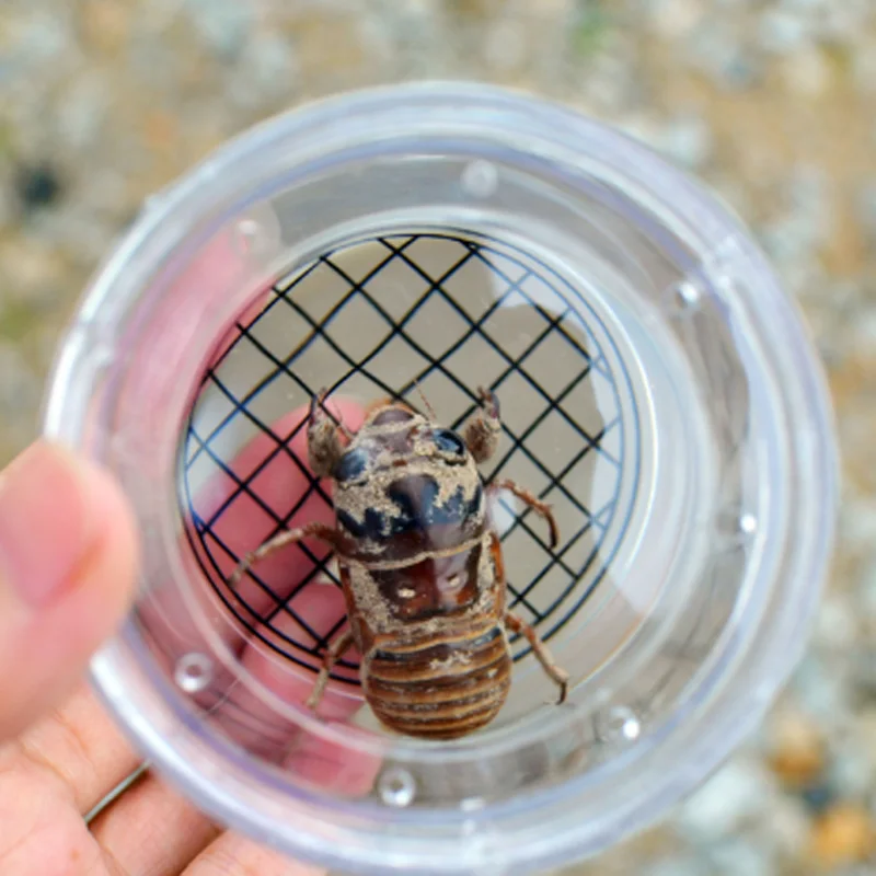 Camping Outdoor Insect Observation Magnification Box Insect Cup Camping Equipment Science Experiment Outdoor Tool
Camping Outdoor Insect Observation Magnification Box Insect Cup Camping Equipment Science Experiment Outdoor Tool