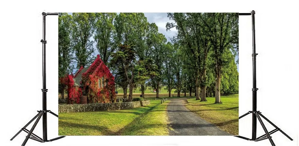 

Photography Backdrop Ric Trees Grass Field Shabby Chic House Plants Vine Sunshine Blue Sky White Cloud Road Nature Girl