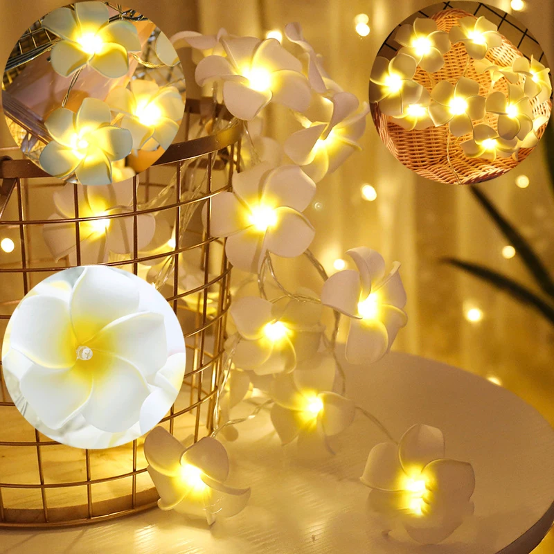 Plumeria LED Light String 1.5M3M6M Garland AA Battery Garden Festival Lighting Activity Wedding Party Home Christmas Decoration
Plumeria LED Light String 1.5M3M6M Garland AA Battery Garden Festival Lighting Activity Wedding Party Home Christmas Decoration