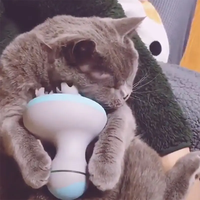 Pet Intelligent Charging Cat Massager 3D Head Massager Omnidirectional Cats Automatic Rotate Waterproof Electric Dragon Claw Han
Pet Intelligent Charging Cat Massager 3D Head Massager Omnidirectional Cats Automatic Rotate Waterproof Electric Dragon Claw Han