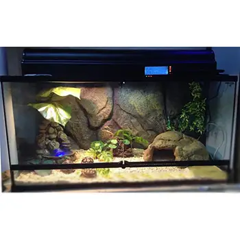 Geometric glass box lizard snake turtle chameleon breeding reptile box ecological landscaping rainforest tank terrarium large
Geometric glass box lizard snake turtle chameleon breeding reptile box ecological landscaping rainforest tank terrarium large