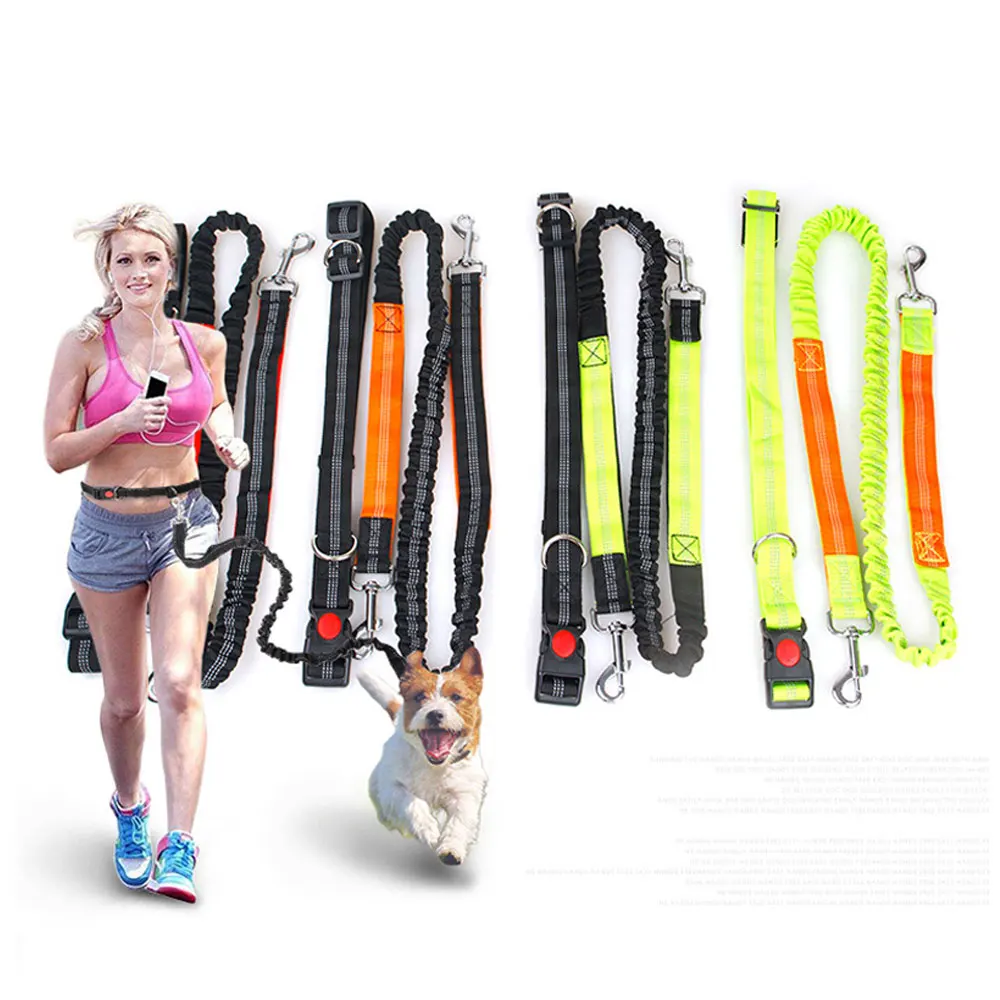 1Pcs Pet Hands Free Leash for Dog Hiking - Medium to Large Dogs (up to 150lbs) - Shock Absorbing Bungee Dog Leashes
1Pcs Pet Hands Free Leash for Dog Hiking - Medium to Large Dogs (up to 150lbs) - Shock Absorbing Bungee Dog Leashes