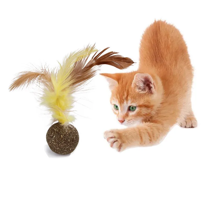 Cat Toy Soft Feather Catnip Ball Toy for Cat Playing Funny Treats Interactive Kitten Toys Pet Products
Cat Toy Soft Feather Catnip Ball Toy for Cat Playing Funny Treats Interactive Kitten Toys Pet Products