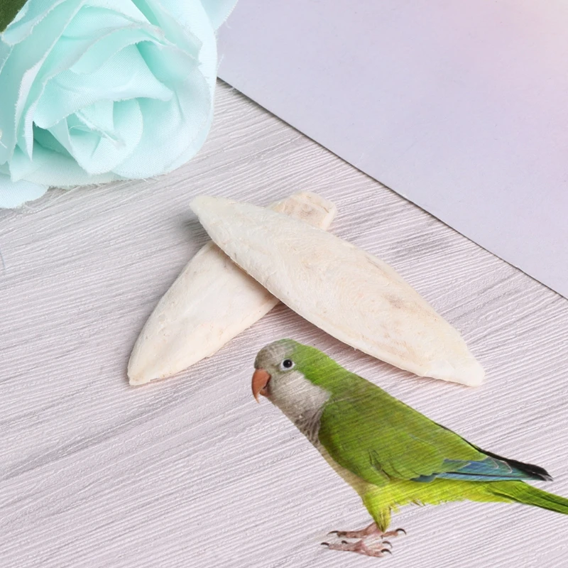 1 Bag Cuttlebone Cuttlefish Sepia Bone Cuttle Fish Bird Food Calcium Pickstone Pet yy56
1 Bag Cuttlebone Cuttlefish Sepia Bone Cuttle Fish Bird Food Calcium Pickstone Pet yy56
