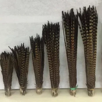 Wholesale 50 Pcs/lot 25-75cm Natural Pheasant Tail Feathers High Quality Diy Jewelry Wedding Decorations Pheasant Plume Hot Sell
Wholesale 50 Pcs/lot 25-75cm Natural Pheasant Tail Feathers High Quality Diy Jewelry Wedding Decorations Pheasant Plume Hot Sell