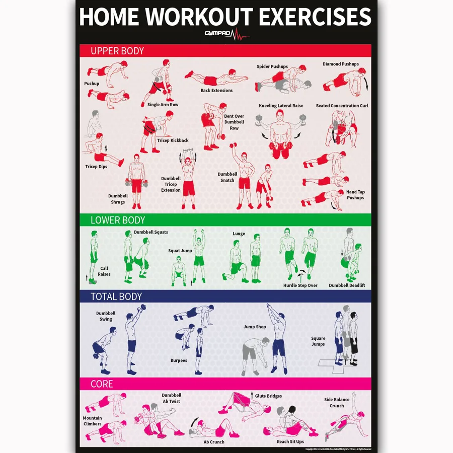 MQ2344 Dumbbell Bodyweight Workout Exercise Build Muscle Hot New Art Poster Top Silk Light Canvas Home Decor Wall Picture Print
MQ2344 Dumbbell Bodyweight Workout Exercise Build Muscle Hot New Art Poster Top Silk Light Canvas Home Decor Wall Picture Print