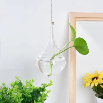 Glass Vase Planter Terrarium Hydroponics Plant Bonsai Flower Pot Hanging Pots Home Decor
Glass Vase Planter Terrarium Hydroponics Plant Bonsai Flower Pot Hanging Pots Home Decor