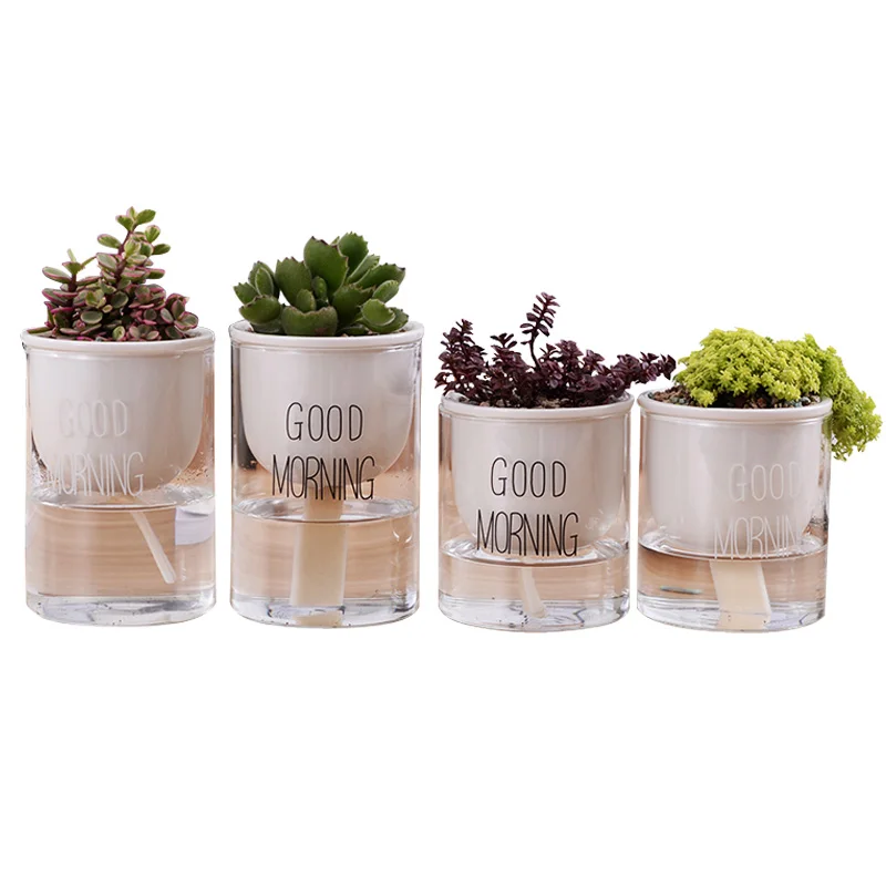 Hydroponics Container Fleshy Automatic Water Absorption Flowerpot Creative Pottery Potted Plant Desktop Ceramics Home Decoration
Hydroponics Container Fleshy Automatic Water Absorption Flowerpot Creative Pottery Potted Plant Desktop Ceramics Home Decoration